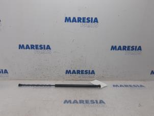 Gebrauchte Gasdämpfer links hinten Citroen C1 1.0 12V Preis € 10,00 Margenregelung angeboten von Maresia Parts