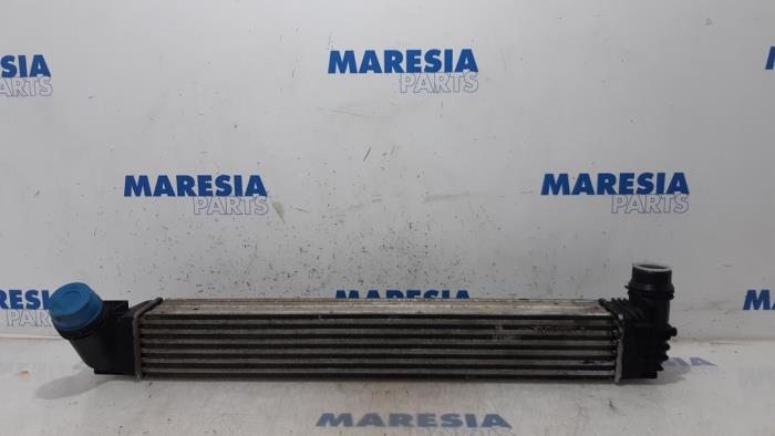 Usagé Intercooler Renault Megane III Berline (BZ) 1.5 dCi 105 Prix € 30,00 Règlement à la marge proposé par Maresia Parts