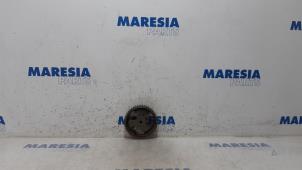 Used Camshaft sprocket Peugeot 508 SW (8E/8U) 1.6 HDiF 16V Price € 20,00 Margin scheme offered by Maresia Parts