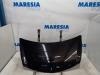 Renault Clio III (BR/CR) 1.2 16V TCe 100 Bonnet