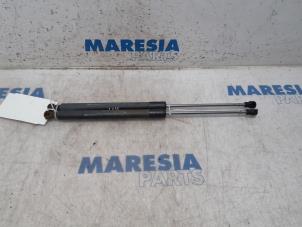 Used Set of tailgate gas struts Renault Clio III (BR/CR) 1.2 16V TCe 100 Price € 25,00 Margin scheme offered by Maresia Parts