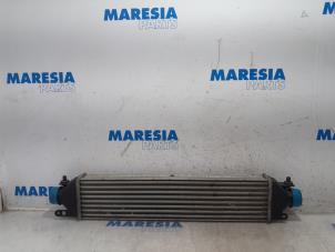 Used Intercooler Fiat Doblo Cargo (263) 1.6 D Multijet Price € 60,50 Inclusive VAT offered by Maresia Parts