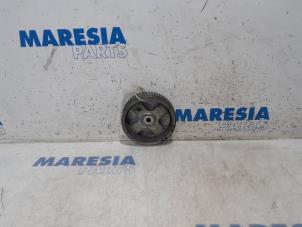 Używane Kolo pasowe walu korbowego Fiat Panda (312) 0.9 TwinAir 65 Cena € 35,00 Procedura marży oferowane przez Maresia Parts
