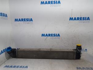 Used Intercooler Renault Scénic III (JZ) 1.4 16V TCe 130 Price € 30,00 Margin scheme offered by Maresia Parts