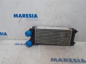 Used Intercooler Peugeot Partner Tepee (7A/B/C/D/E/F/G/J/P/S) 1.6 HDiF 90 16V Phase 1 Price € 24,20 Inclusive VAT offered by Maresia Parts