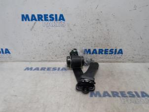 Used Rear seatbelt, left Fiat Panda (312) 0.9 TwinAir Turbo 85 Price € 35,00 Margin scheme offered by Maresia Parts