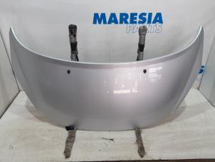 Używane Maska Peugeot 207 CC (WB) 1.6 16V THP Cena € 75,00 Procedura marży oferowane przez Maresia Parts