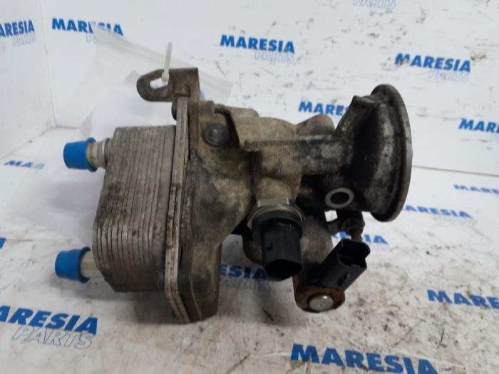 Gebrauchte Ölfilterhalter Citroen Jumper (U9) 2.0 Blue HDi 130 Preis € 127,05 Mit Mehrwertsteuer angeboten von Maresia Parts