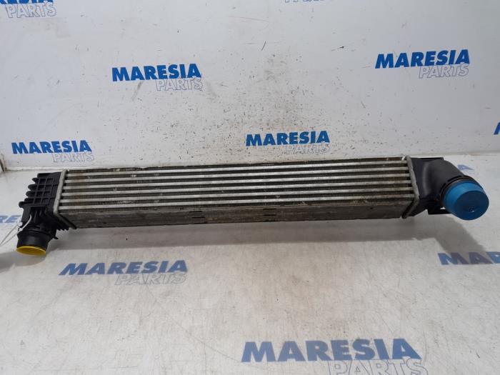 Usagé Intercooler Renault Scénic III (JZ) 1.5 dCi 110 Prix € 50,00 Règlement à la marge proposé par Maresia Parts