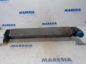 Used Intercooler Renault Scénic III (JZ) 1.5 dCi 110 Price € 50,00 Margin scheme offered by Maresia Parts