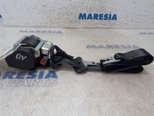 Used Front seatbelt, right Renault Scénic III (JZ) 1.5 dCi 110 Price € 79,00 Margin scheme offered by Maresia Parts