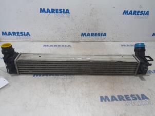 Used Intercooler Renault Scénic III (JZ) 1.2 16V TCe 130 Price € 40,00 Margin scheme offered by Maresia Parts