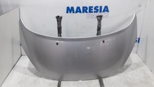 Używane Maska Peugeot 207/207+ (WA/WC/WM) 1.6 16V VTi Cena € 75,00 Procedura marży oferowane przez Maresia Parts