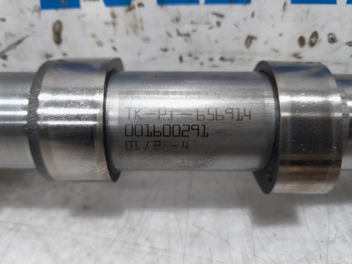Gebrauchte Nockenwelle Citroen Jumpy (G9) 2.0 HDiF 16V 125 Preis € 105,00 Margenregelung angeboten von Maresia Parts