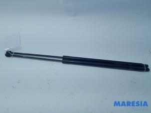 Used Set of tailgate gas struts Fiat Doblo Cargo (263) 1.3 D Multijet Price € 42,35 Inclusive VAT offered by Maresia Parts