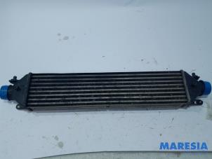 Used Intercooler Fiat Doblo Cargo (263) 1.3 D Multijet Price € 42,35 Inclusive VAT offered by Maresia Parts