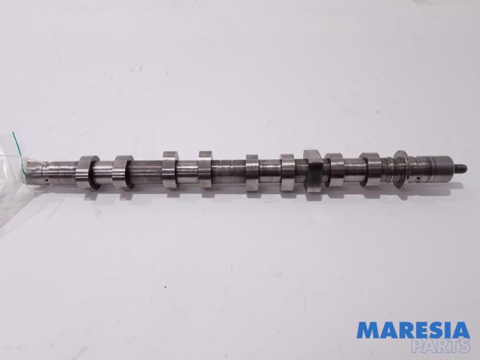 Gebrauchte Nockenwelle Renault Scénic II (JM) 1.6 16V Preis € 75,00 Margenregelung angeboten von Maresia Parts