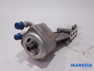 Used Oil filter holder Peugeot 307 CC (3B) 2.0 16V Price € 40,00 Margin scheme offered by Maresia Parts