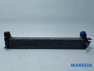 Used Intercooler Renault Scénic III (JZ) 1.5 dCi 110 Price € 40,00 Margin scheme offered by Maresia Parts