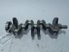 Crankshaft from a Renault Megane III Grandtour (KZ) 1.2 16V TCE 115 2013
