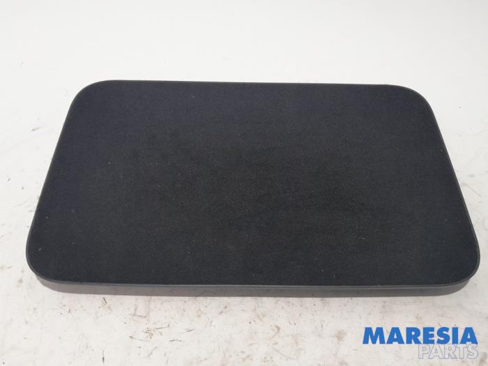 Używane Schowek Renault Scénic III (JZ) 1.5 dCi 110 Cena € 20,00 Procedura marży oferowane przez Maresia Parts