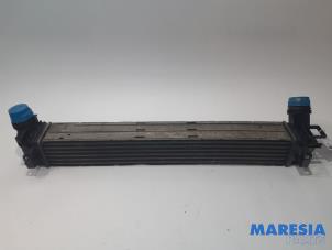 Used Intercooler Renault Megane III Grandtour (KZ) 1.4 16V TCe 130 Price € 30,00 Margin scheme offered by Maresia Parts