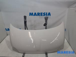Używane Maska Fiat 500 (312) 1.2 69 Cena € 100,00 Procedura marży oferowane przez Maresia Parts