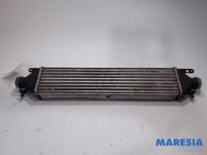 Used Intercooler Fiat Doblo Cargo (263) 1.3 MJ 16V Euro 4 Price € 36,30 Inclusive VAT offered by Maresia Parts