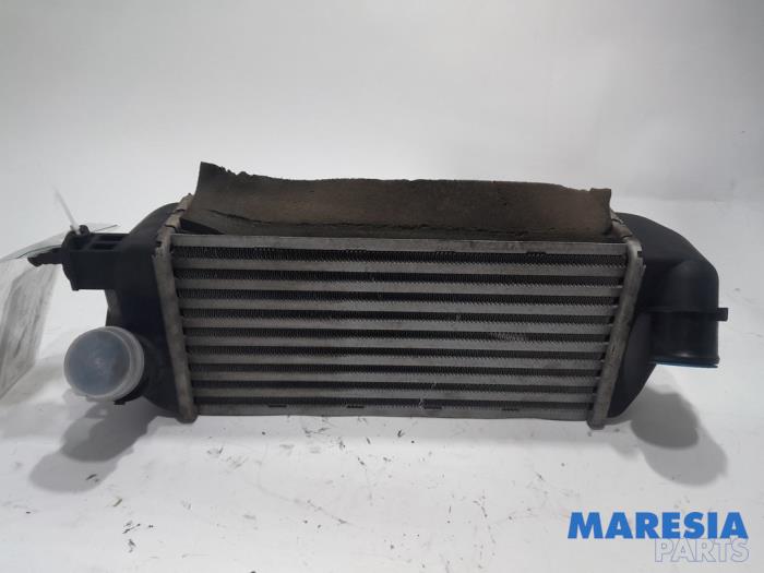 Usados Intercooler Fiat 500 (312) 0.9 TwinAir 85 Precio € 44,99 Norma de margen ofrecido por Maresia Parts