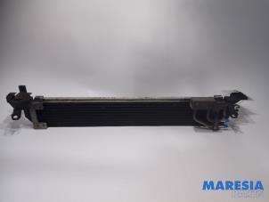 Used Oil cooler Renault Scénic III (JZ) 2.0 16V CVT Price € 250,00 Margin scheme offered by Maresia Parts