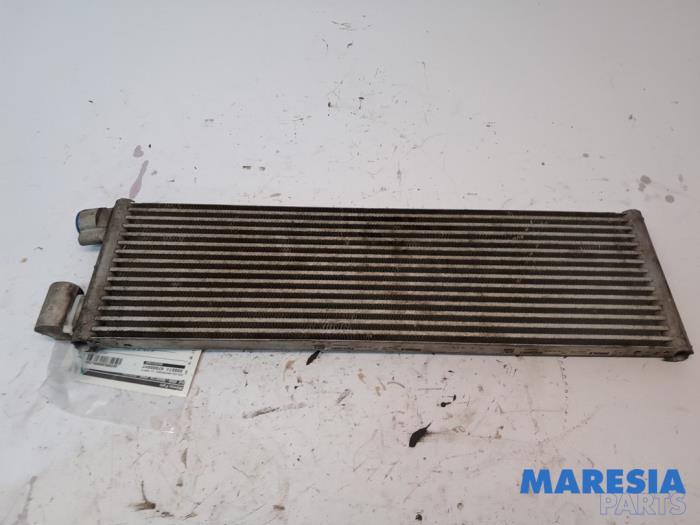 Usagé Refroidisseur d'huile Alfa Romeo Giulia (952) 2.0 T 16V Veloce Q4 Prix € 150,00 Règlement à la marge proposé par Maresia Parts