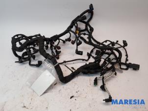 Used Wiring harness Alfa Romeo Giulia (952) 2.0 T 16V Veloce Q4 Price € 125,00 Margin scheme offered by Maresia Parts