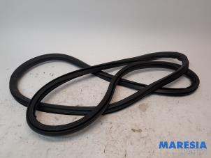 Used Front door seal 4-door, right Citroen C4 Picasso (3D/3E) 1.2 12V PureTech 130 Price € 30,00 Margin scheme offered by Maresia Parts