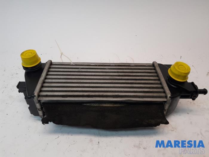 Intercooler Lancia Ypsilon 0.9 TwinAir 85 51837873 312A2000 LANCIA