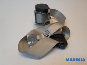 Used Front seatbelt, right Renault Scénic III (JZ) 1.6 Energy dCi 130 Price € 105,00 Margin scheme offered by Maresia Parts