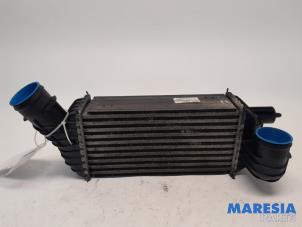 Used Intercooler Peugeot RCZ (4J) 2.0 HDi 16V FAP Price € 35,00 Margin scheme offered by Maresia Parts