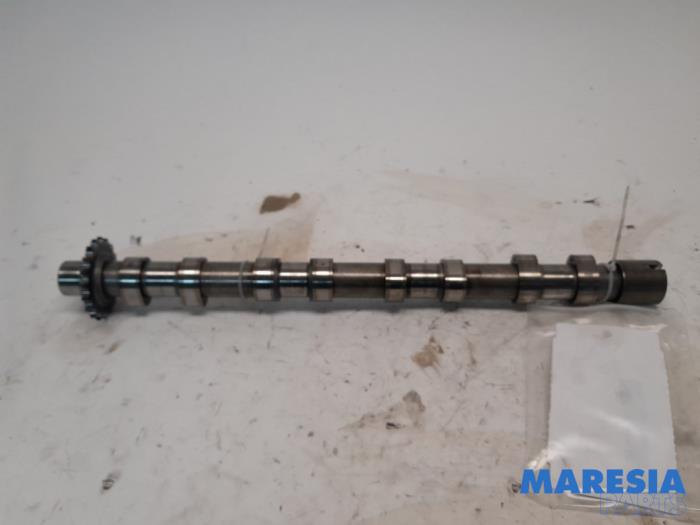 Usagé Arbre à cames Peugeot 508 SW (8E/8U) 2.2 HDiF 16V GT Prix € 90,00 Règlement à la marge proposé par Maresia Parts