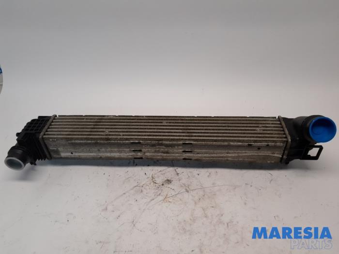Usagé Intercooler Renault Megane III Coupe (DZ) 2.0 16V TCe 180 Prix € 75,00 Règlement à la marge proposé par Maresia Parts