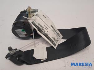 Used Rear seatbelt, right Fiat Punto Evo (199) 1.3 JTD Multijet 85 16V Euro 5 Price € 25,00 Margin scheme offered by Maresia Parts