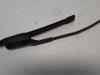 Front wiper arm from a Fiat 500 (312), 2007 1.4 16V, Hatchback, Petrol, 1.368cc, 74kW (101pk), FWD, 169A3000, 2007-08, 312AXC 2008