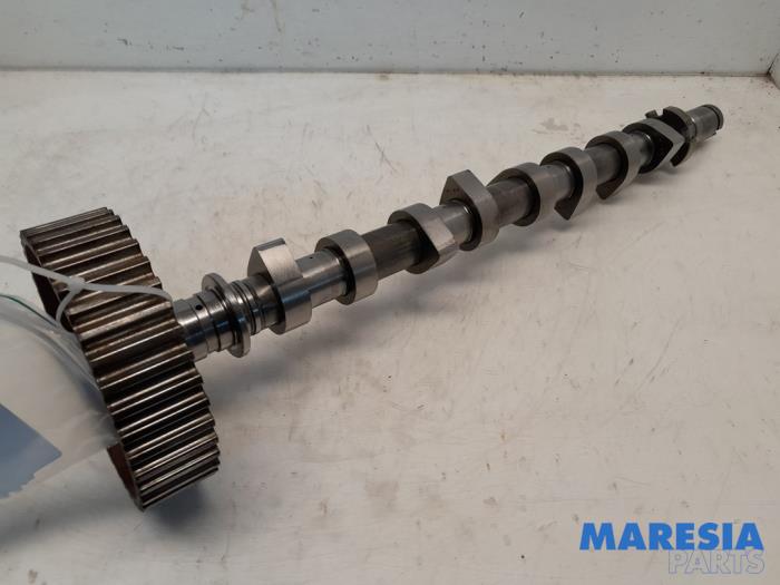 Usagé Arbre à cames Renault Scénic III (JZ) 1.5 dCi 110 Prix € 73,99 Règlement à la marge proposé par Maresia Parts