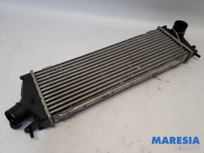 Gebrauchte Ladeluftkühler Renault Trafic New (FL) 2.5 dCi 16V 145 Preis € 36,30 Mit Mehrwertsteuer angeboten von Maresia Parts