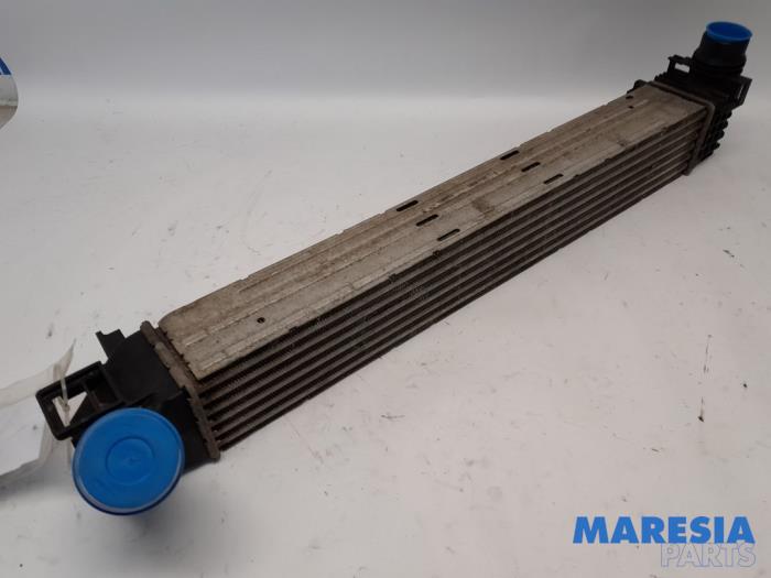 Usagé Intercooler Renault Megane III Coupe (DZ) 1.4 16V TCe 130 Prix € 30,00 Règlement à la marge proposé par Maresia Parts
