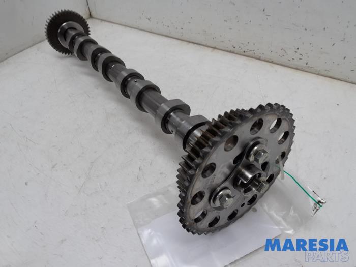 Usagé Arbre à cames Renault Master III (MA/MB/MC/MD/MH/MF/MG/MH) 2.3 dCi 135 16V FWD Prix € 211,75 Prix TTC proposé par Maresia Parts