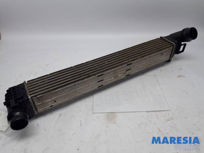 Usagé Intercooler Renault Megane III Grandtour (KZ) 1.4 16V TCe 130 Prix € 30,00 Règlement à la marge proposé par Maresia Parts