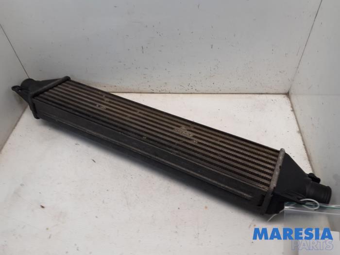 Usados Intercooler Lancia Delta (844) 1.4 T-Jet 16V 150 Precio € 35,00 Norma de margen ofrecido por Maresia Parts