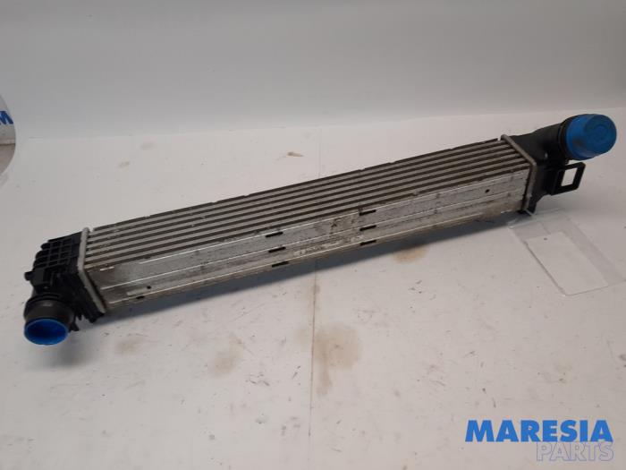 Usagé Intercooler Renault Megane III Grandtour (KZ) 1.4 16V TCe 130 Prix € 30,00 Règlement à la marge proposé par Maresia Parts