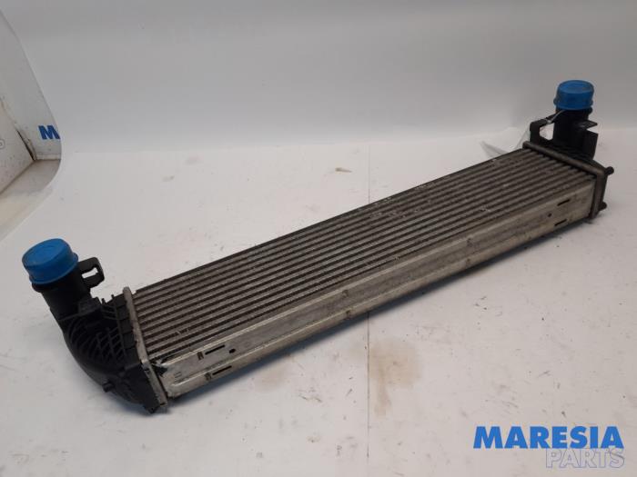 Usados Intercooler Renault Espace (JK) 2.0 dCi 16V 150 FAP Precio € 50,00 Norma de margen ofrecido por Maresia Parts