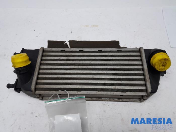 Usados Intercooler Fiat Panda (312) 0.9 TwinAir Turbo 85 Precio € 44,99 Norma de margen ofrecido por Maresia Parts