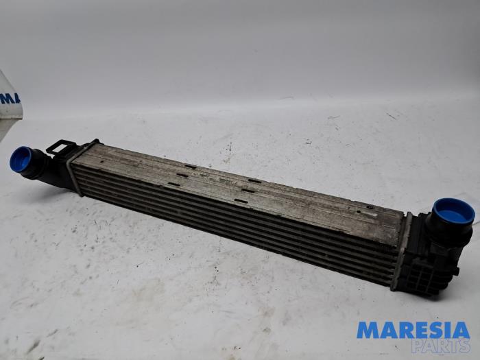Usagé Intercooler Renault Scénic III (JZ) 1.4 16V TCe 130 Prix € 30,00 Règlement à la marge proposé par Maresia Parts